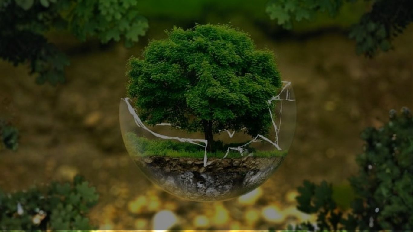 İşletmelerde Karbon Ayak İzi Yönetimi ve Yeşil Dönüşüm