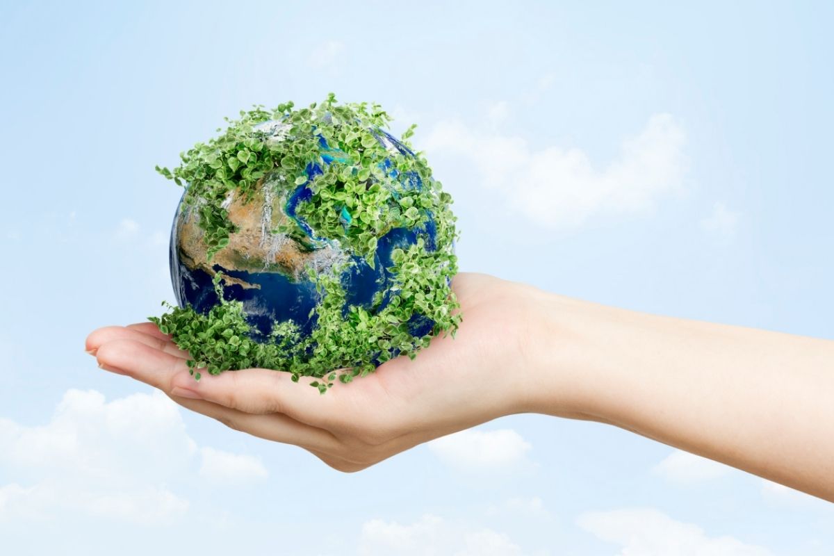 Çevre Danışmanlık Hizmetleri