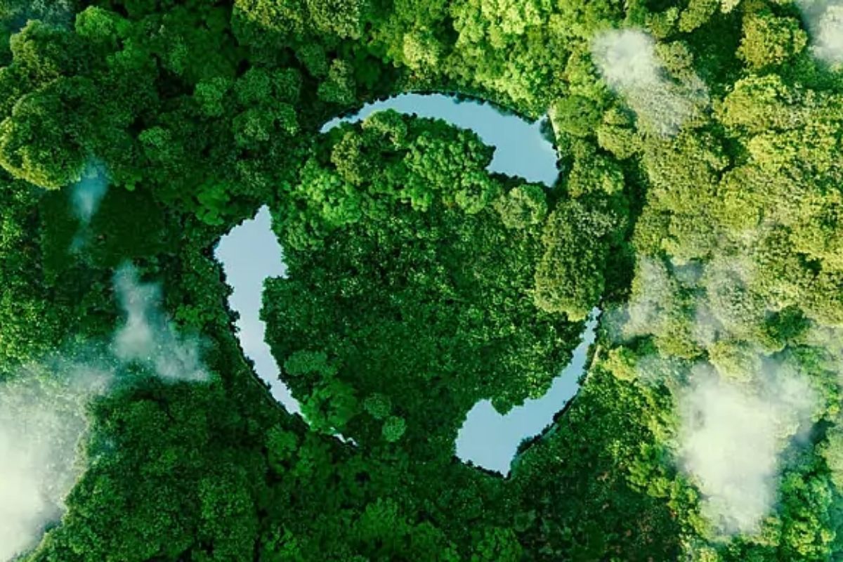 Sürdürülebilirlik Raporu